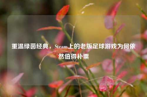 重温绿茵经典，Steam上的老版足球游戏为何依然值得补票