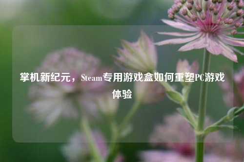 掌机新纪元，Steam专用游戏盒如何重塑PC游戏体验
