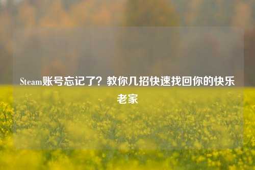 Steam账号忘记了？教你几招快速找回你的快乐老家
