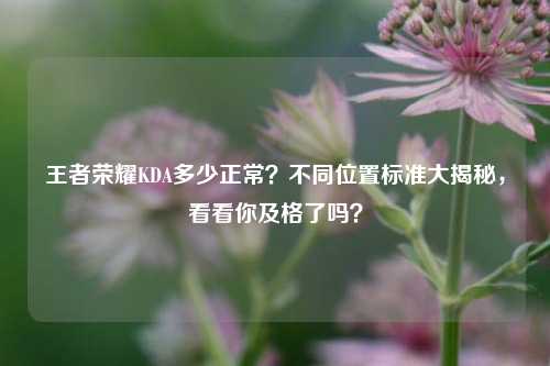 王者荣耀KDA多少正常？不同位置标准大揭秘，看看你及格了吗？