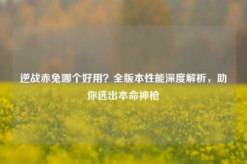 逆战赤兔哪个好用？全版本性能深度解析，助你选出本命神枪