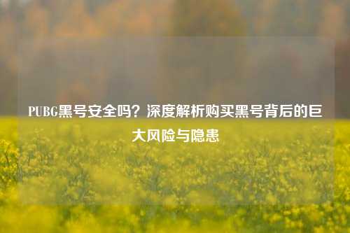 PUBG黑号安全吗？深度解析购买黑号背后的巨大风险与隐患