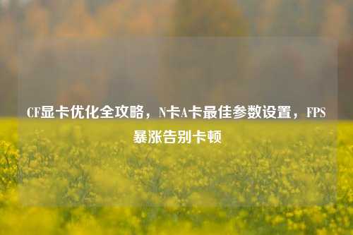 CF显卡优化全攻略，N卡A卡更佳参数设置，FPS暴涨告别卡顿