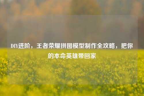 DIY进阶，王者荣耀拼图模型 *** 全攻略，把你的本命英雄带回家