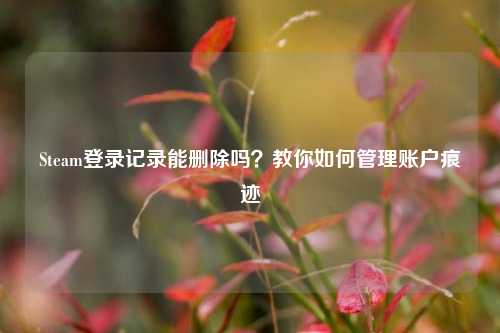 Steam登录记录能删除吗？教你如何管理账户痕迹