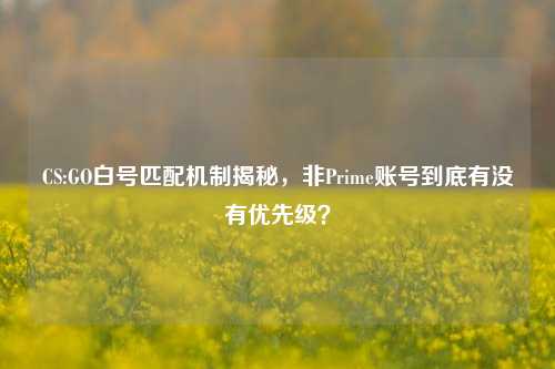CS:GO白号匹配机制揭秘，非Prime账号到底有没有优先级？