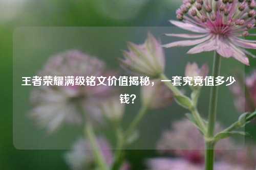 王者荣耀满级铭文价值揭秘，一套究竟值多少钱？