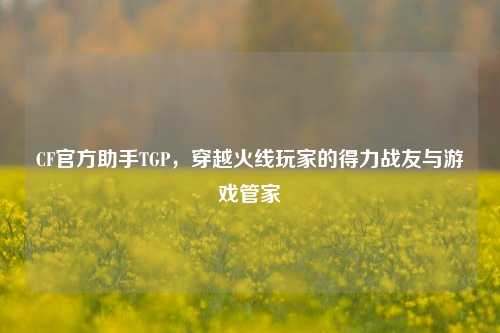 CF官方助手TGP，穿越火线玩家的得力战友与游戏管家