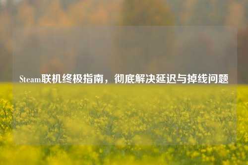 Steam联机终极指南，彻底解决延迟与掉线问题