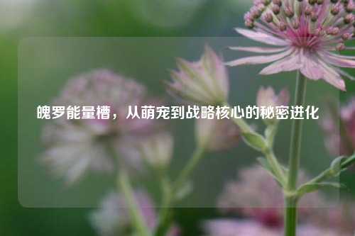 魄罗能量槽,从萌宠到战略核心的秘密进化