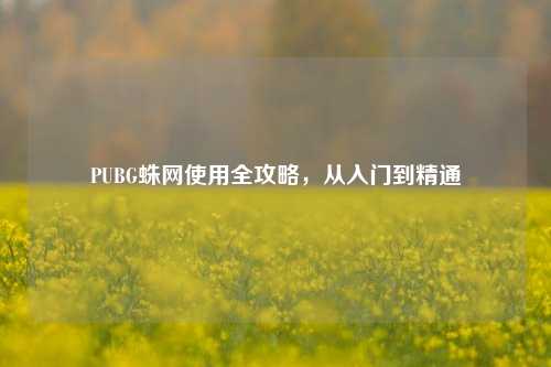 PUBG蛛网使用全攻略，从入门到精通