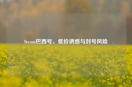 Steam巴西号,低价诱惑与封号风险