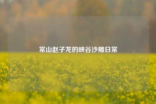 常山赵子龙的峡谷沙雕日常