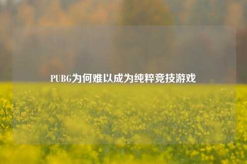 PUBG为何难以成为纯粹竞技游戏