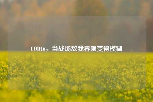 COD16，当战场敌我界限变得模糊