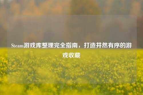 Steam游戏库整理完全指南，打造井然有序的游戏收藏