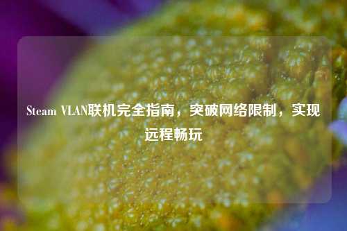 Steam VLAN联机完全指南,突破 *** 限制,实现远程畅玩