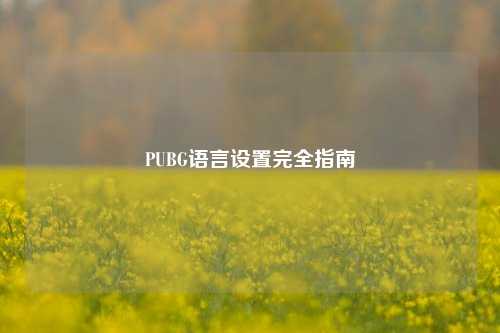 PUBG语言设置完全指南