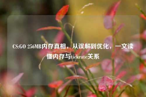 CS:GO 256MB内存真相，从误解到优化，一文读懂内存与tickrate关系