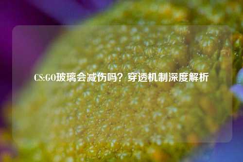 CS:GO玻璃会减伤吗？穿透机制深度解析