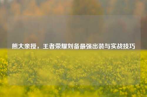 熊大亲授，王者荣耀刘备最强出装与实战技巧