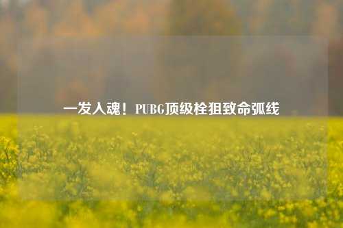 一发入魂！PUBG顶级栓狙致命弧线