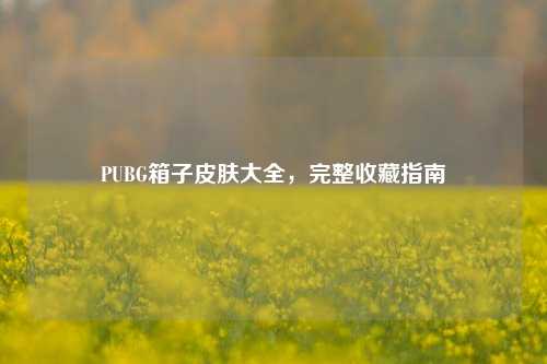 PUBG箱子皮肤大全，完整收藏指南
