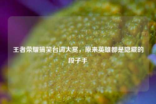 王者荣耀搞笑台词大赏，原来英雄都是隐藏的段子手