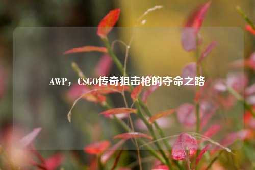 AWP，CSGO传奇狙击枪的夺命之路