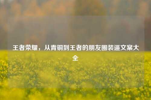 王者荣耀，从青铜到王者的朋友圈装逼文案大全