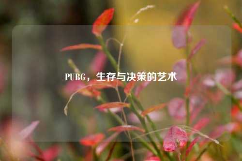 PUBG，生存与决策的艺术