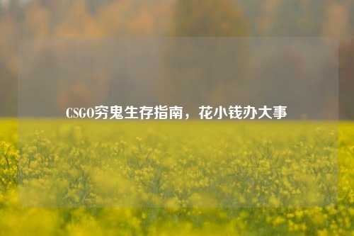 CSGO穷鬼生存指南，花小钱办大事