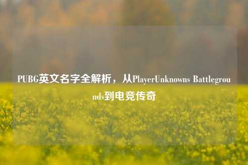 PUBG英文名字全解析，从PlayerUnknowns Battlegrounds到电竞传奇