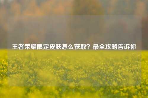 王者荣耀限定皮肤怎么获取？最全攻略告诉你