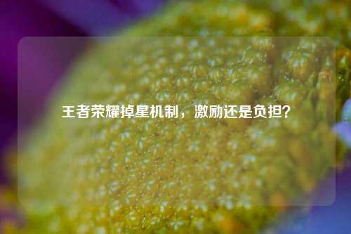 王者荣耀掉星机制，激励还是负担？