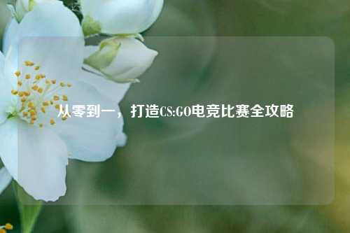 从零到一，打造CS:GO电竞比赛全攻略