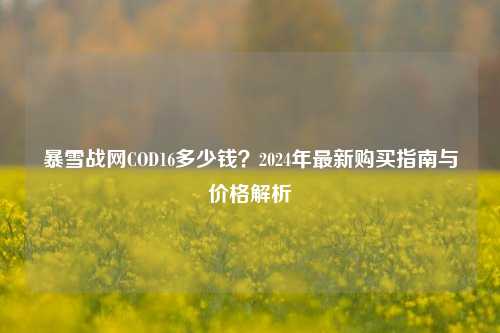 暴雪战网COD16多少钱？2024年最新购买指南与价格解析