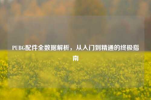 PUBG配件全数据解析，从入门到精通的终极指南
