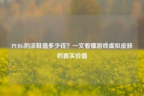 PUBG的凉鞋值多少钱？一文看懂游戏虚拟皮肤的真实价值