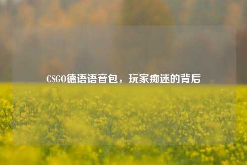 CSGO德语语音包,玩家痴迷的背后
