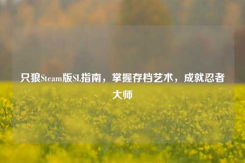 只狼Steam版SL指南，掌握存档艺术，成就忍者大师