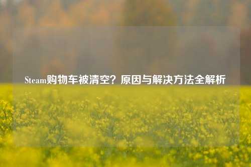 Steam购物车被清空?原因与解决 *** 全解析
