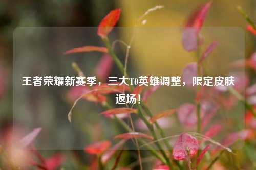 王者荣耀新赛季,三大T0英雄调整,限定皮肤返场!