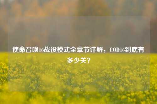 使命召唤16战役模式全章节详解,COD16到底有多少关?