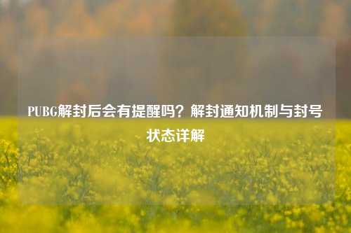 PUBG解封后会有提醒吗？解封通知机制与封号状态详解