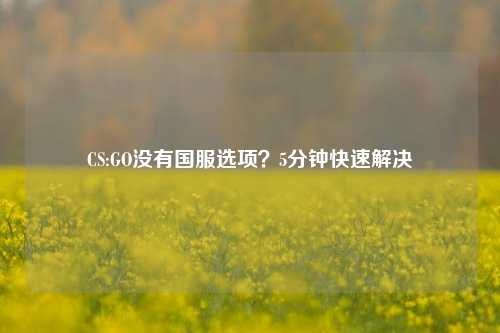 CS:GO没有国服选项？5分钟快速解决