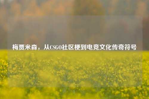 梅贾米森,从CSGO社区梗到电竞文化传奇符号