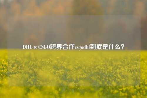 DHL×CSGO跨界合作csgodhl到底是什么?