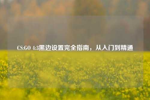 CS:GO 4:3黑边设置完全指南，从入门到精通