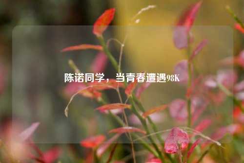 陈诺同学，当青春遭遇98K
